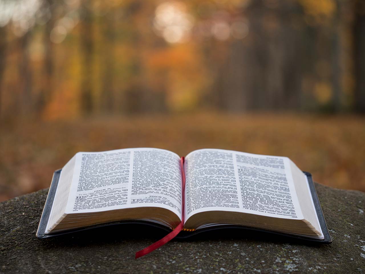 Open Bible in a church setting